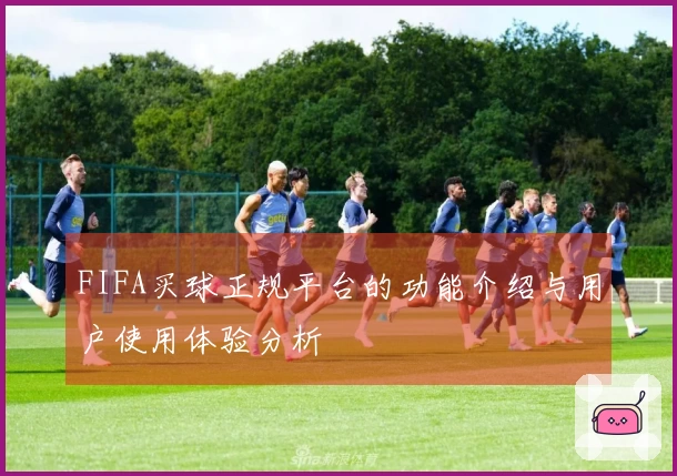 FIFA买球正规平台的功能介绍与用户使用体验分析